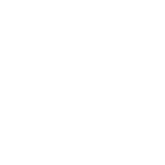 OBMI